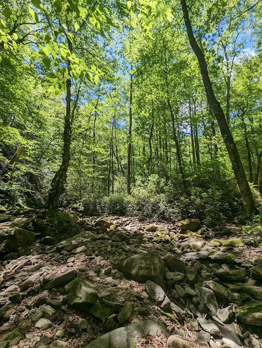 USFS Wolf Ford Horse Camp 6