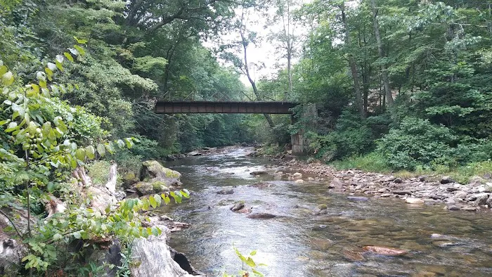 Laurel Bank Campground 1