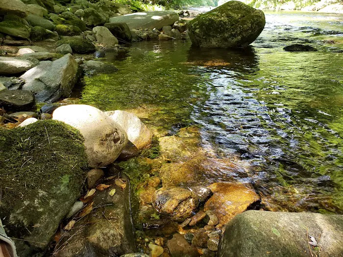Laurel Bank Campground 5