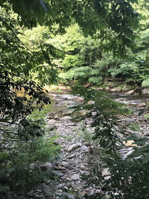 Laurel Bank Campground 6