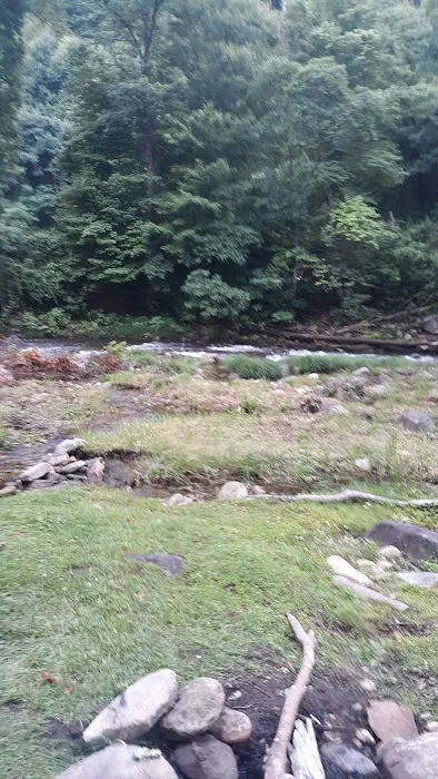 Laurel Bank Campground 4
