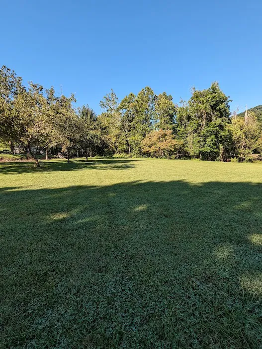 Double D Roost campground 0