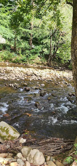 Double D Roost campground 9