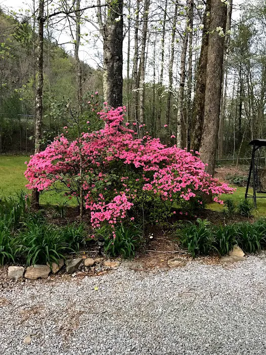North Indian Creek Campground 3