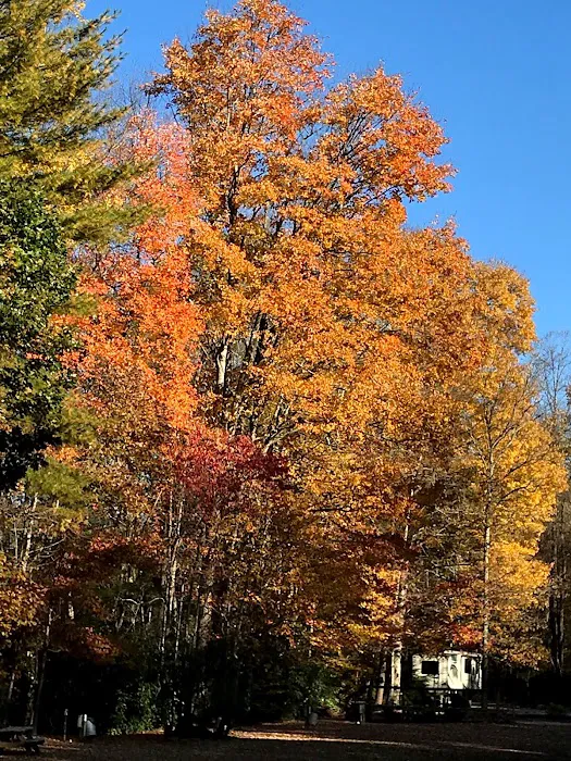 North Indian Creek Campground 7