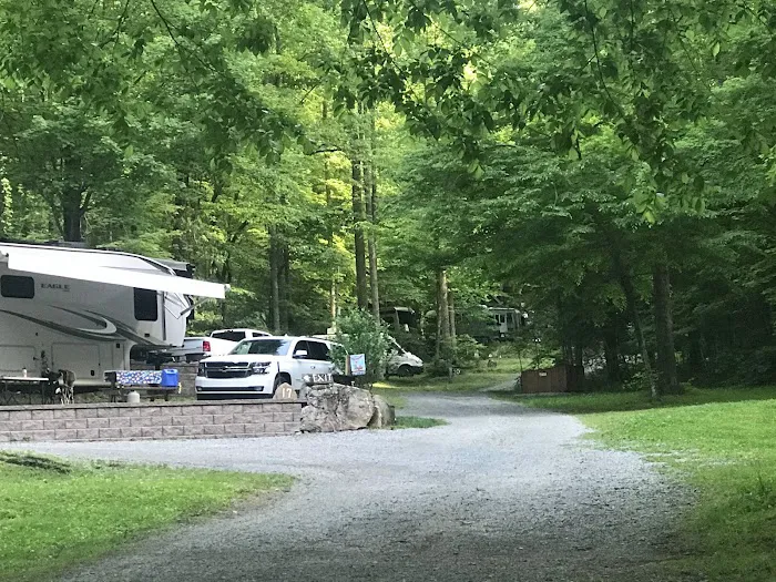 Woodsmoke Campground 2