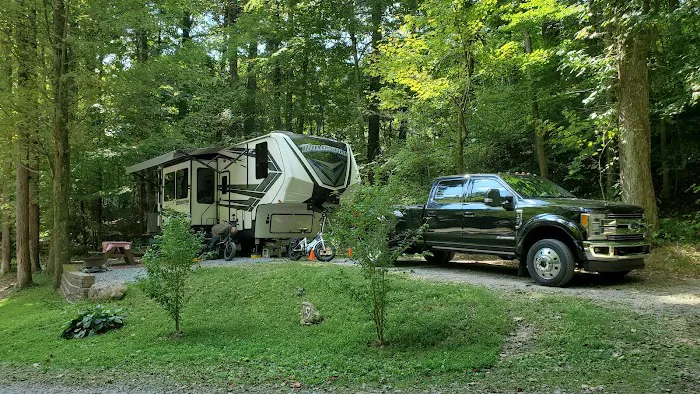 Woodsmoke Campground 3