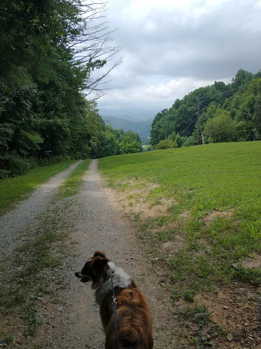 Woodsmoke Campground 6
