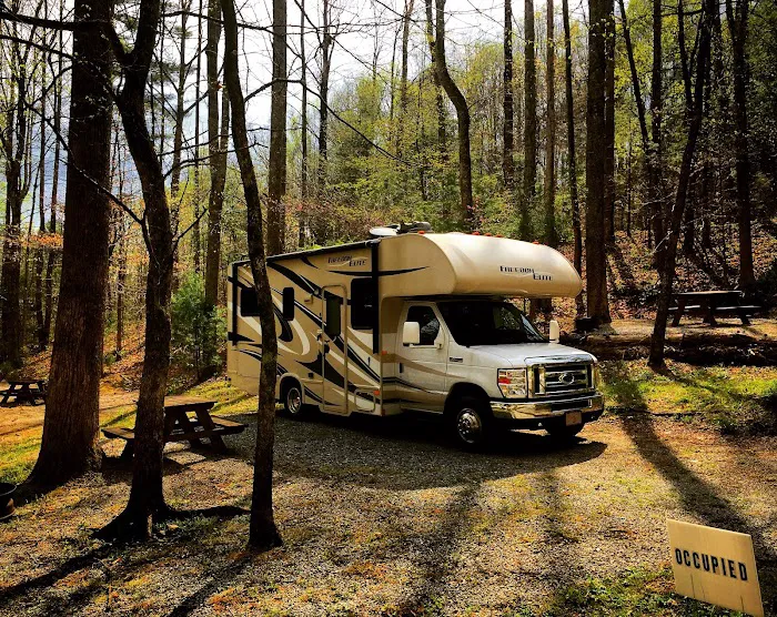 Woodsmoke Campground 9