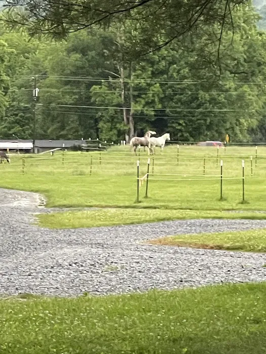 Grand View Ranch and RV Park 8
