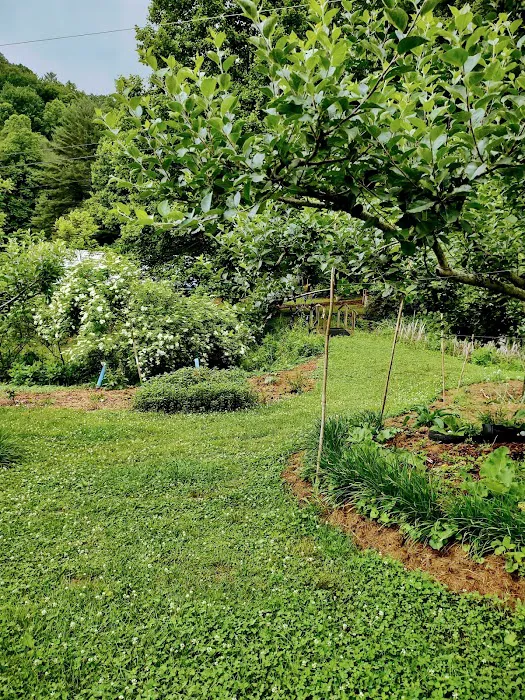 Blackberry Blossom Farm, Tent Campground, Suites 8