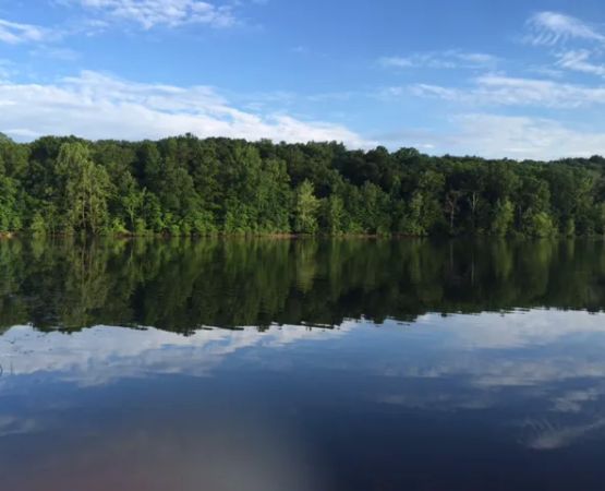 Tipsaw Recreation Area