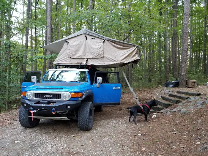 Indian-Celina Lakes South Slope Campground 8
