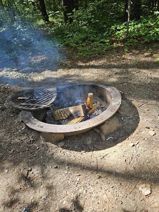 Indian-Celina Lakes North Face Campground 9