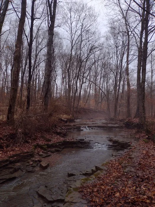 Indian-Celina Lake Recreation Area 3