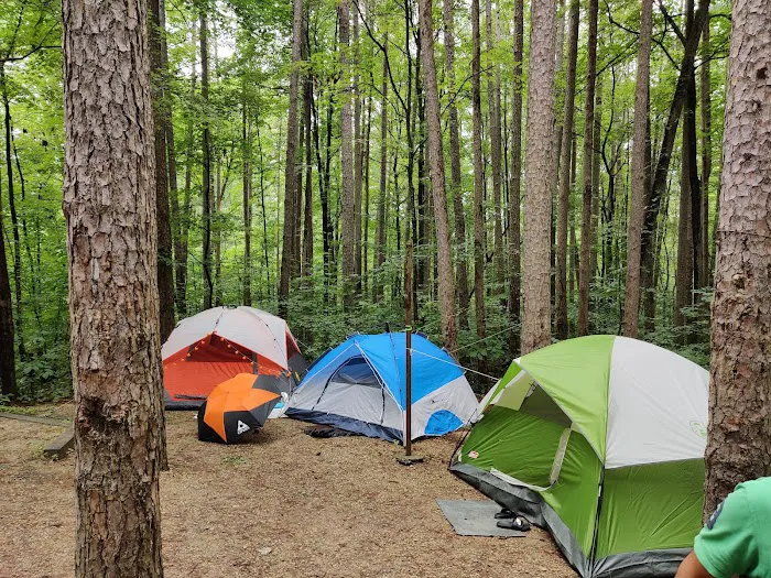 Indian-Celina Lake Recreation Area 5