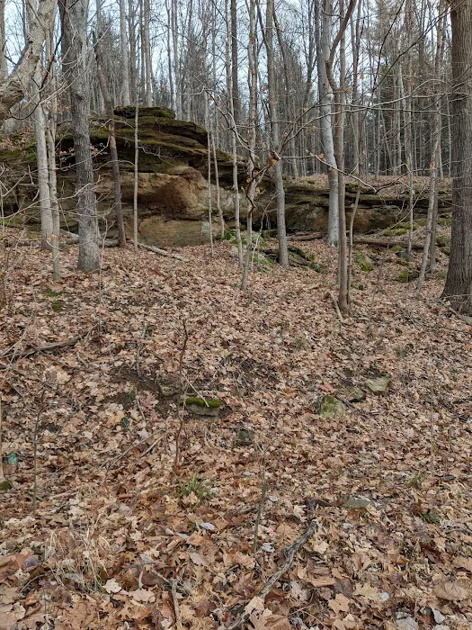 Indian-Celina Lake Recreation Area 7