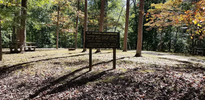 Pike State Forest Campground 2