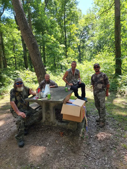 Pike State Forest Campground 0