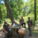 Pike State Forest Campground