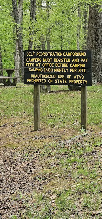 Pike State Forest Campground 1