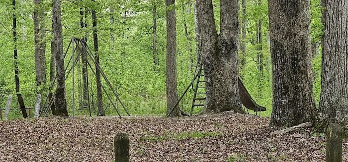 Pike State Forest Campground 3