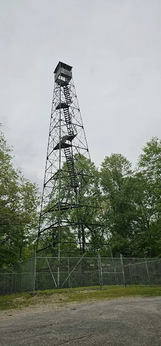 Pike State Forest Campground 9