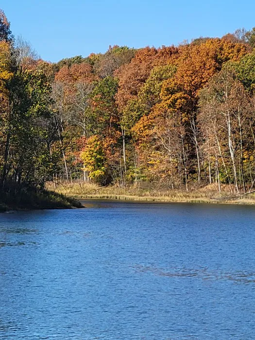 Patoka Lake Modern Campground 0