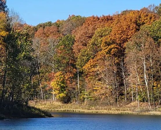 Patoka Lake Modern Campground