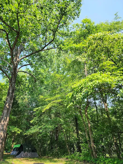 Patoka Lake Modern Campground 6