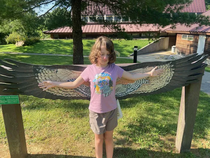 Patoka Lake Fisherman's Campground 4