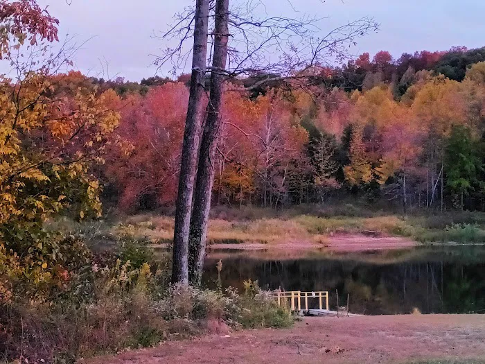 Patoka Lake Fisherman's Campground 8