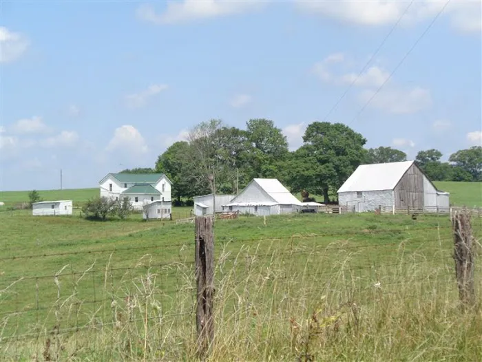 Hill Springs Campground 5