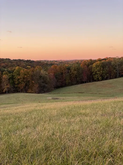 Hill Springs Campground 9
