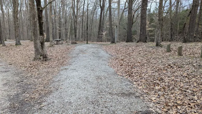 Hoosier National Forest Campground 8