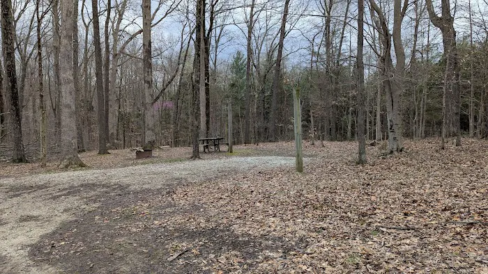 Hoosier National Forest Campground 9