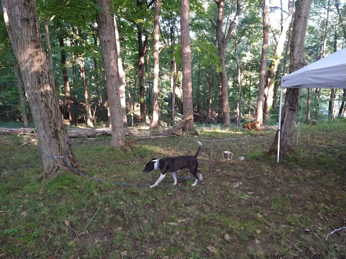 Hilltop Campgrounds 1