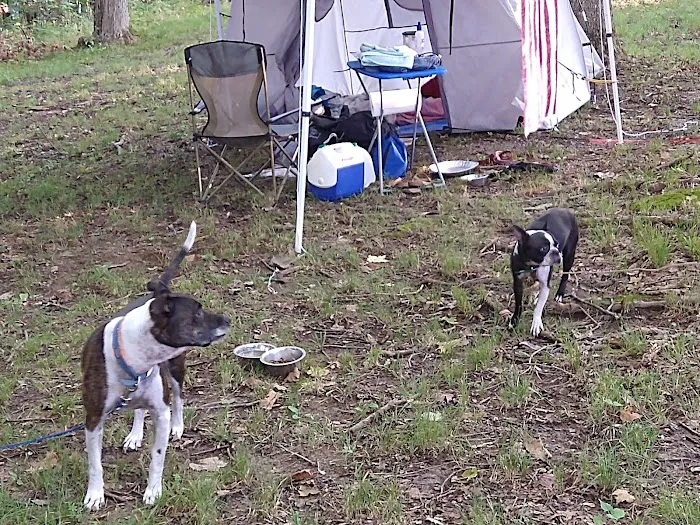 Hilltop Campgrounds 5