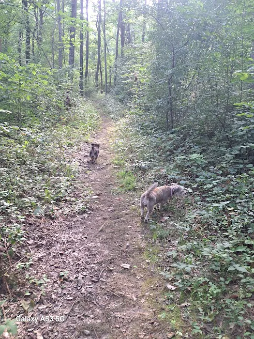 Burrell Woods Bicentennial Park 9
