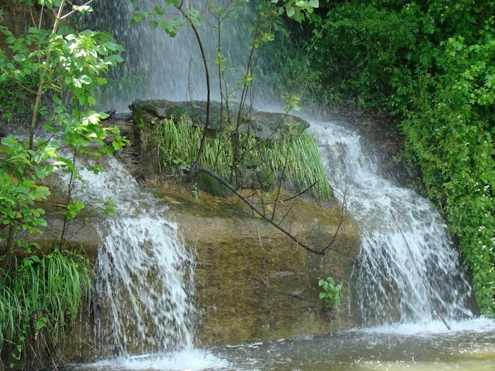 Rocky Falls Campground 8