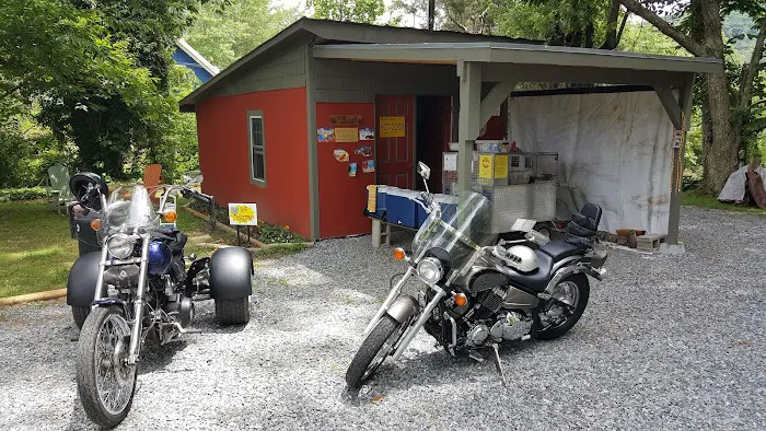 Back Yard Campground 4
