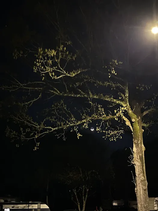 Springwood RV park 3