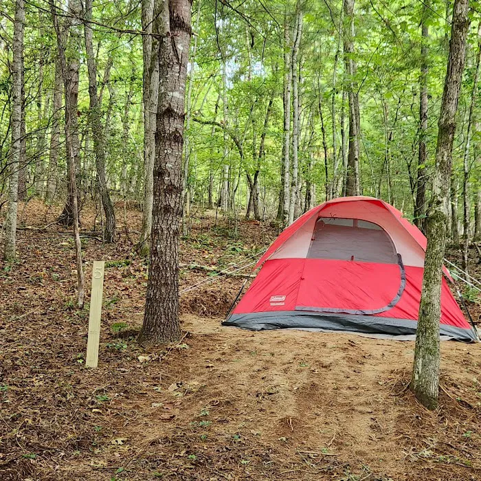 Cowee Campground 4