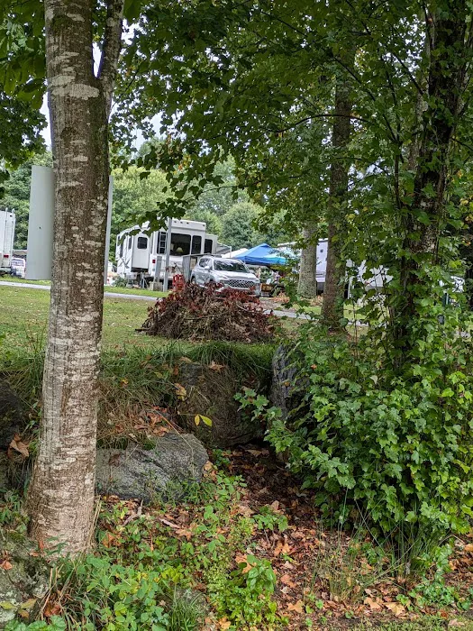 Winngray Campground 7