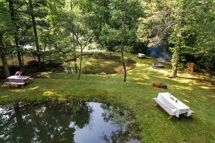 Southern Belles Glamping 5