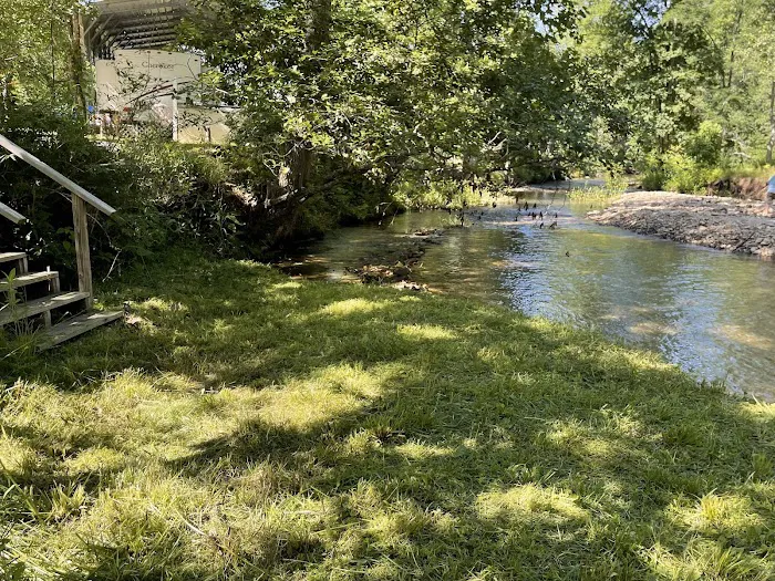 Coweeta Creek Private Campground 1