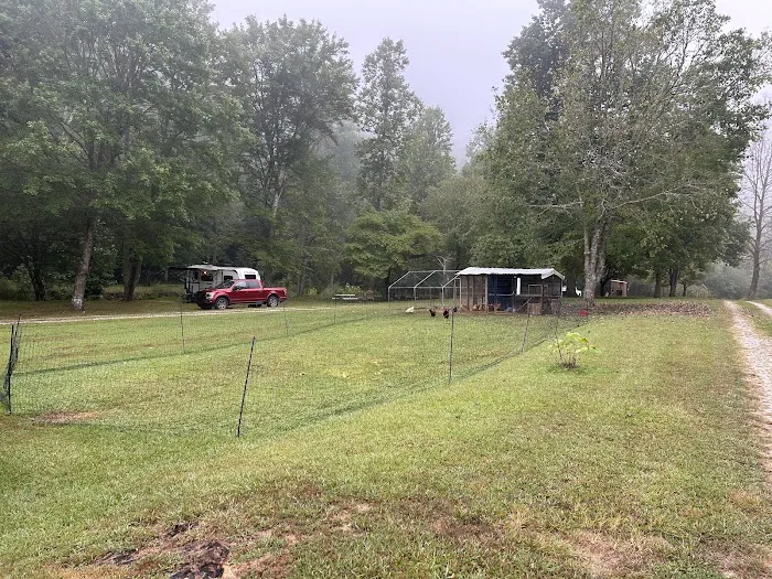 Coweeta Creek Private Campground 7