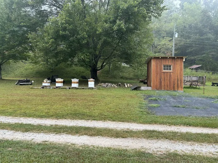 Coweeta Creek Private Campground 8