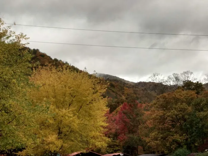 Mountain Shadows Campground 1