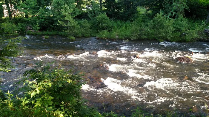 Pigeon River Campground 1